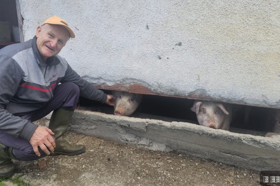 (FOTO) ČUDO NEVIĐENO SA MALJENA Rođen je bez ušiju i prava je atrakcija u selu: "Najbolje čuje kad zazveči kanta za ručak"