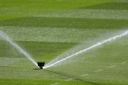 Problem z murawą na stadionie w Sewilli przed meczem Polaków