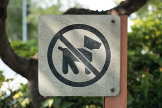 Rzecznik praw obywatelskich w obronie spacerów z psem