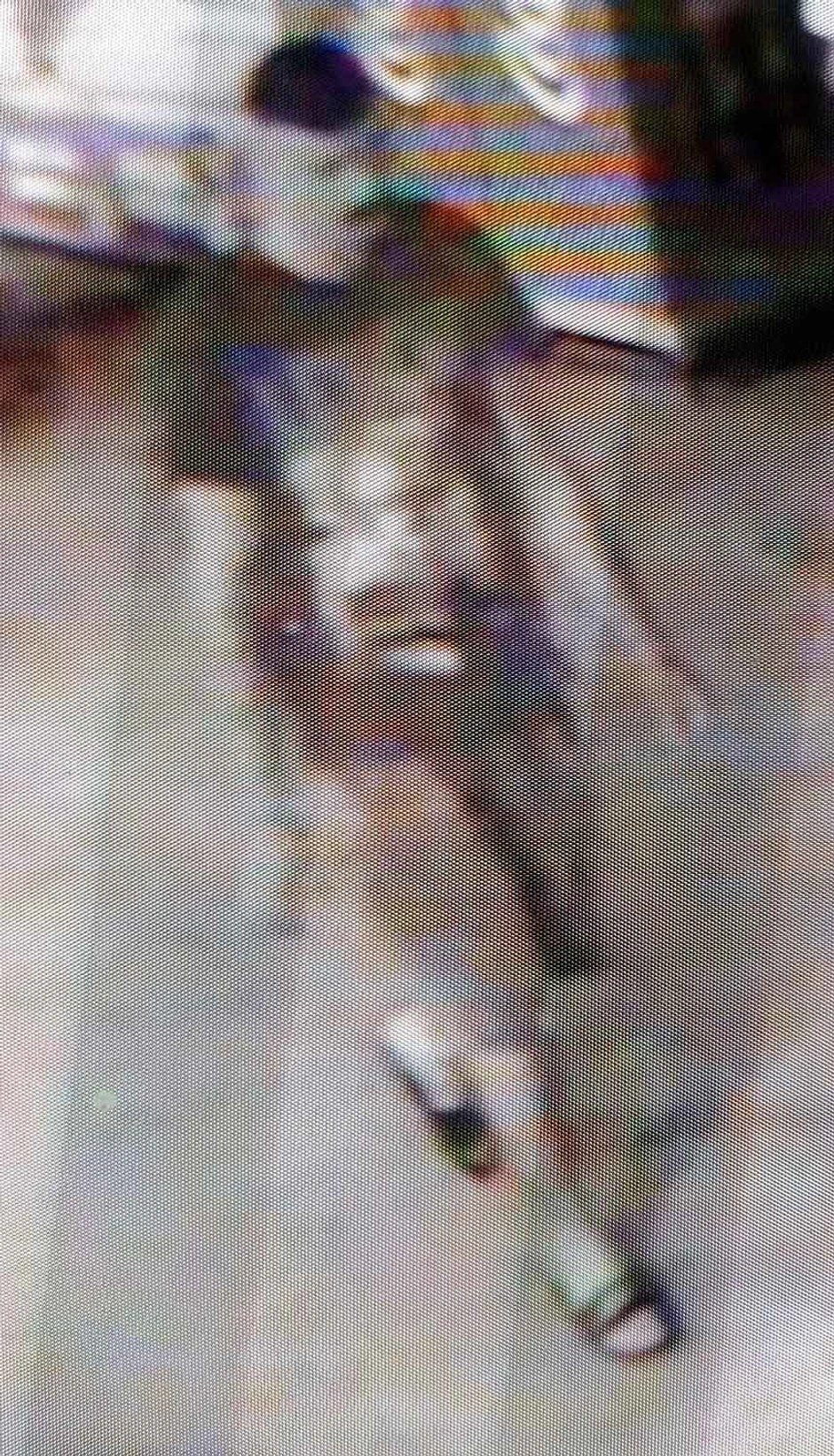 Policija traga za ovim muškarcem