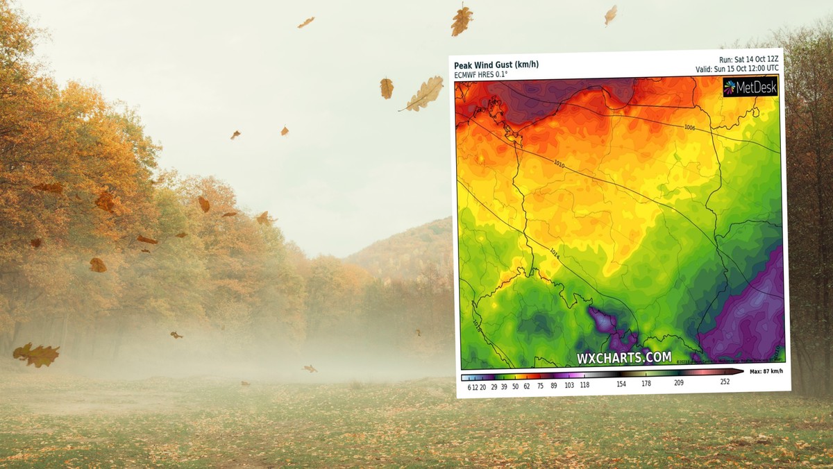 Pogoda na dziś, 15 października. Chłód i wichura uderzą w Polskę