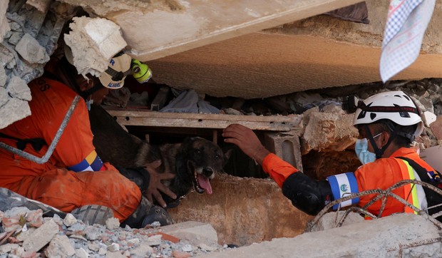 Spasioci traže preživele i sa psima u Venecueli | Foto: Reuters