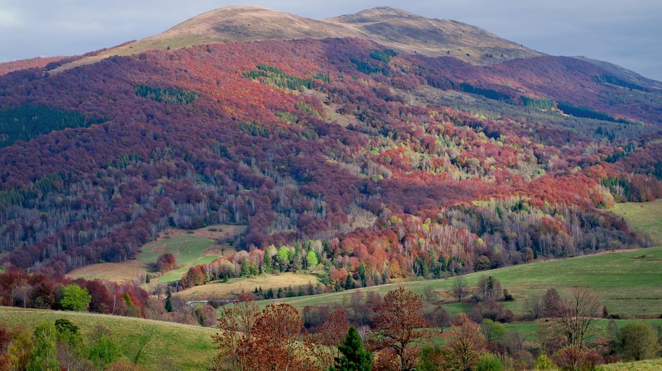 Bieszczady jesienią