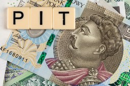 PIT-11 za cudzoziemców bez numeru PESEL: Korzystanie z generatora może się źle skończyć dla płatników