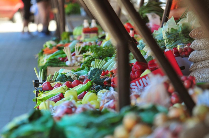 Dobri saveti i bogat prinos