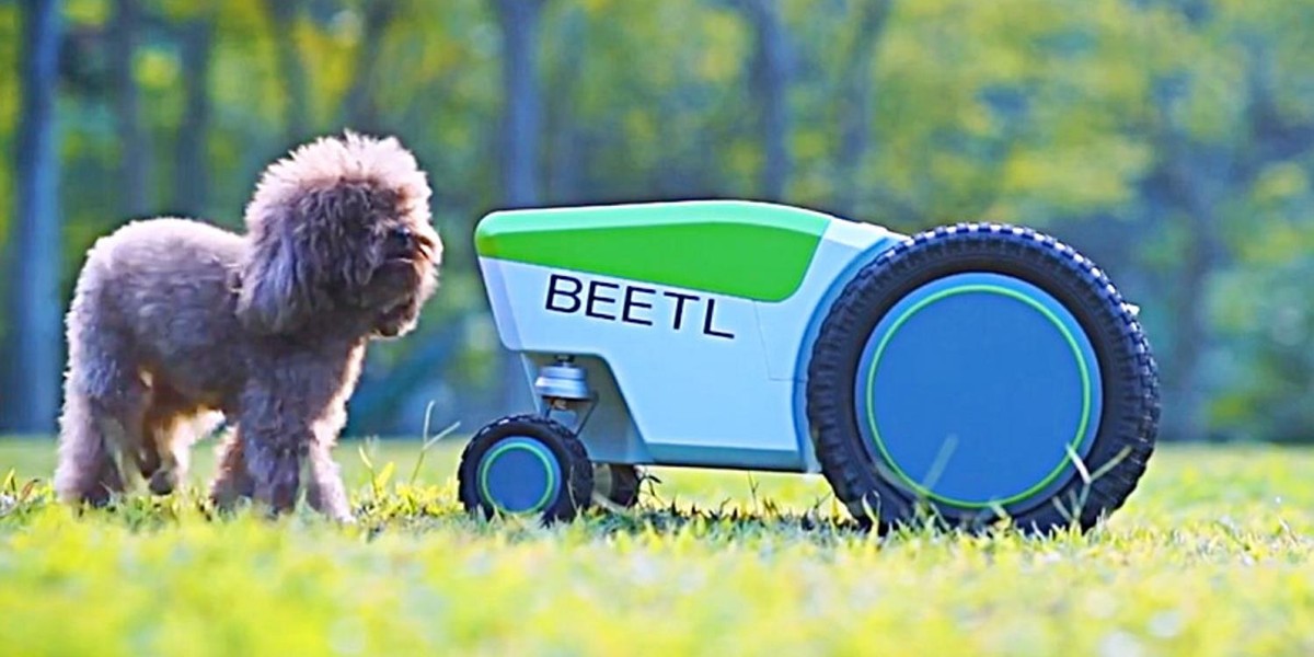 Beetl