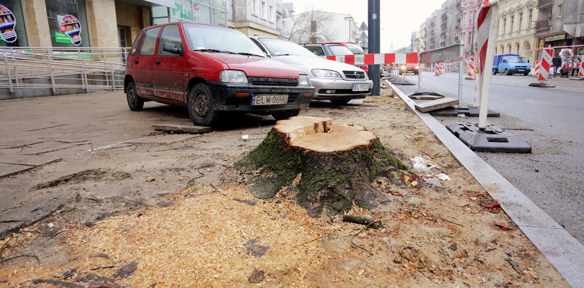 Wycięli drzewa na Piotrkowskiej