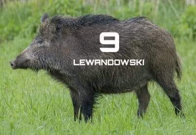 Robert Lewandowski z kolejnym rekordem. Zobacz memy po meczu Schalke - Bayern 