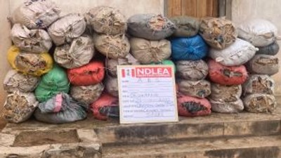 NDLEA arrests 2 suspects with 1,608kg of cannabis sativa in Nasarawa