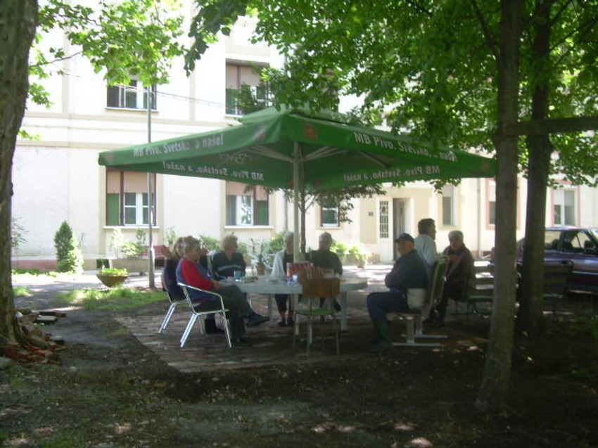 U opštini tvrde da će zaštititi stabla