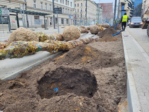 Na Al. Marcinkowskiego dotarł pierwszy transport nowych drzwi fot. PIM