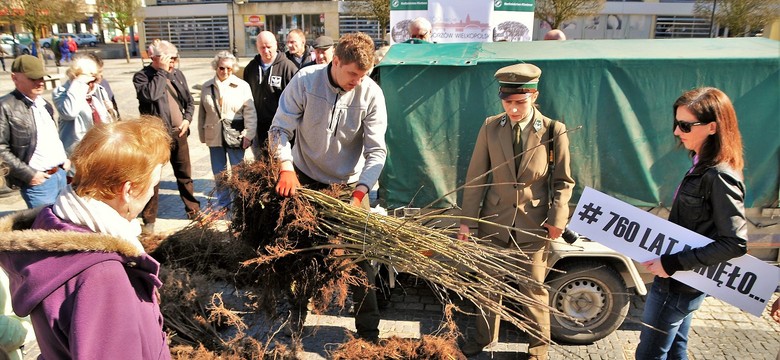 Kolejne drzewka w Gorzowie rozdane. Poszły w 40 minut