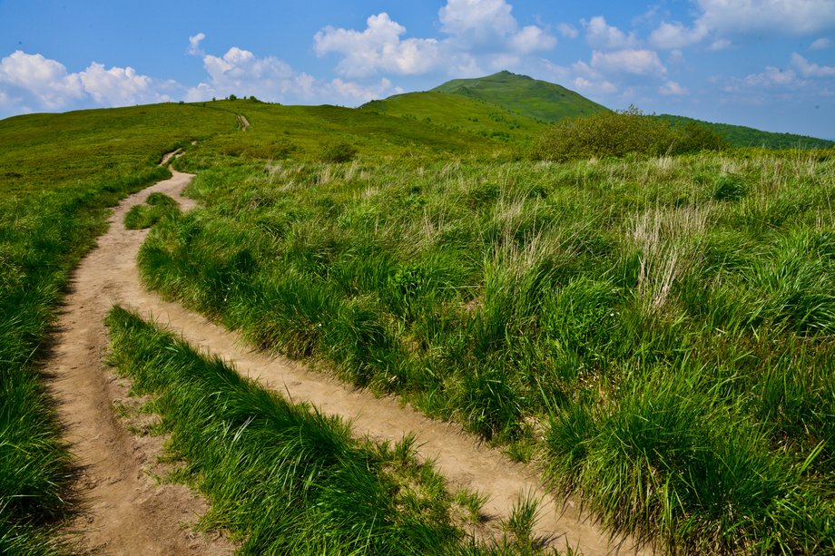 Bieszczady to jeden z najbardziej dzikich i tajemniczych zakątków Polski