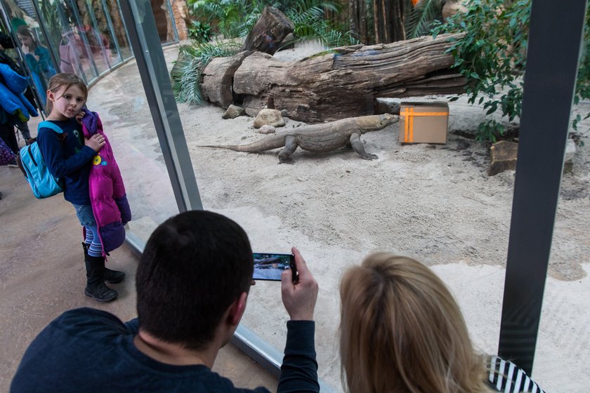 Warany ze Starego ZOO w Poznaniu mają nowy wybieg