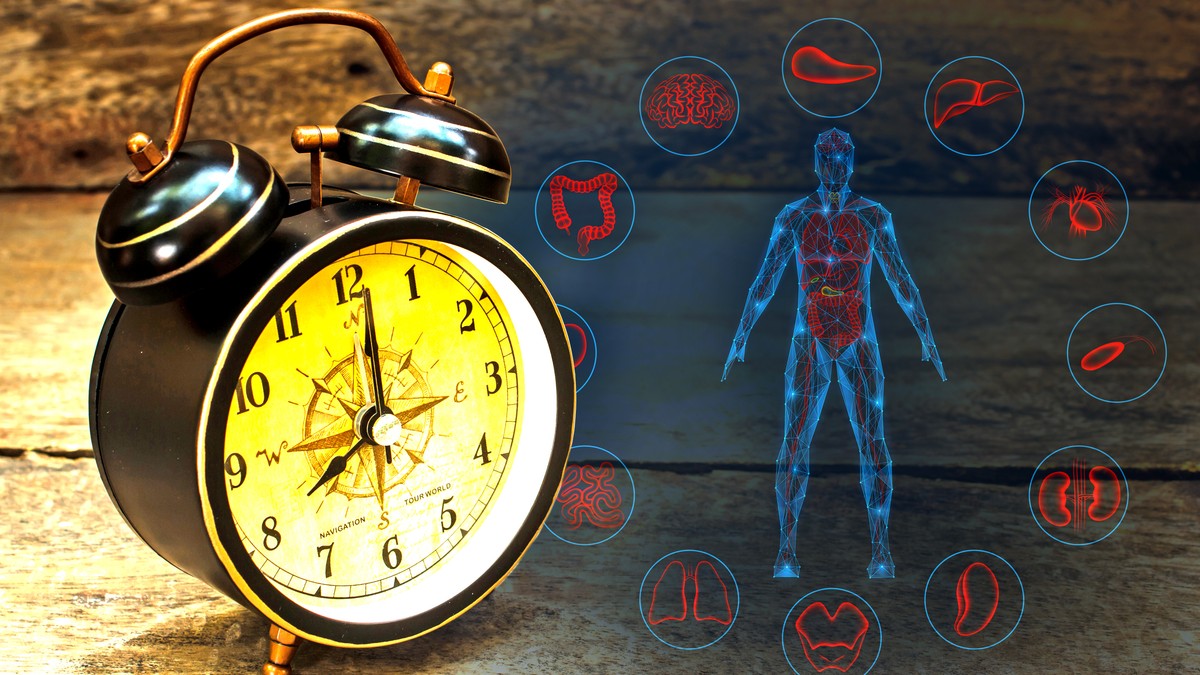 Svaki organ ima svoje optimalno vreme rada prema kineskoj tradicionalnoj medicini