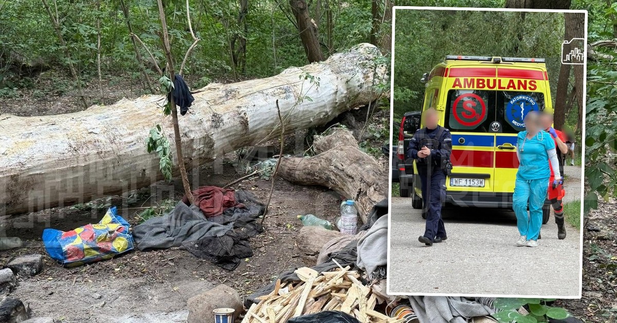 Tragedia w Warszawie: Drzewo zabiło mężczyznę przy Moście Poniatowskiego