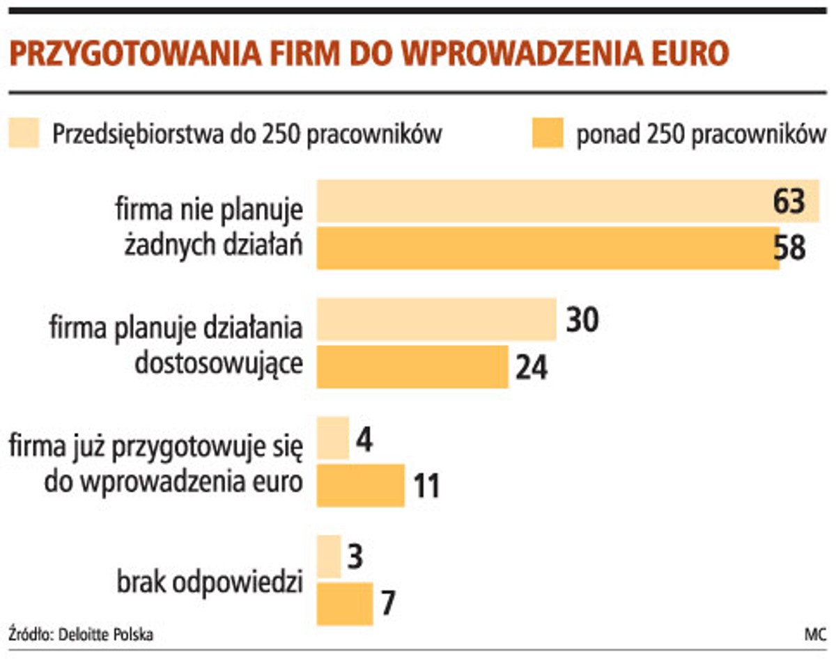 Przygotowania firm do wprowadzenia euro