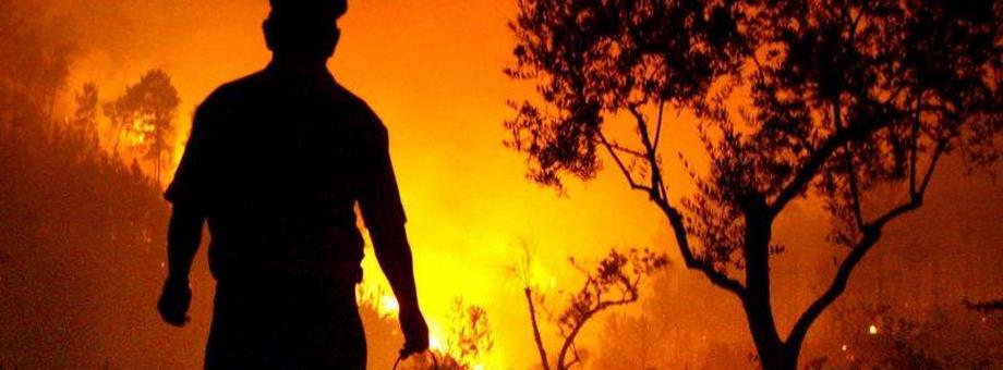 portugalia pożar las bezrobotny