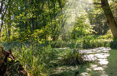 Niezgoda. Miejsce, gdzie człowiek i natura żyją w pełnej harmonii