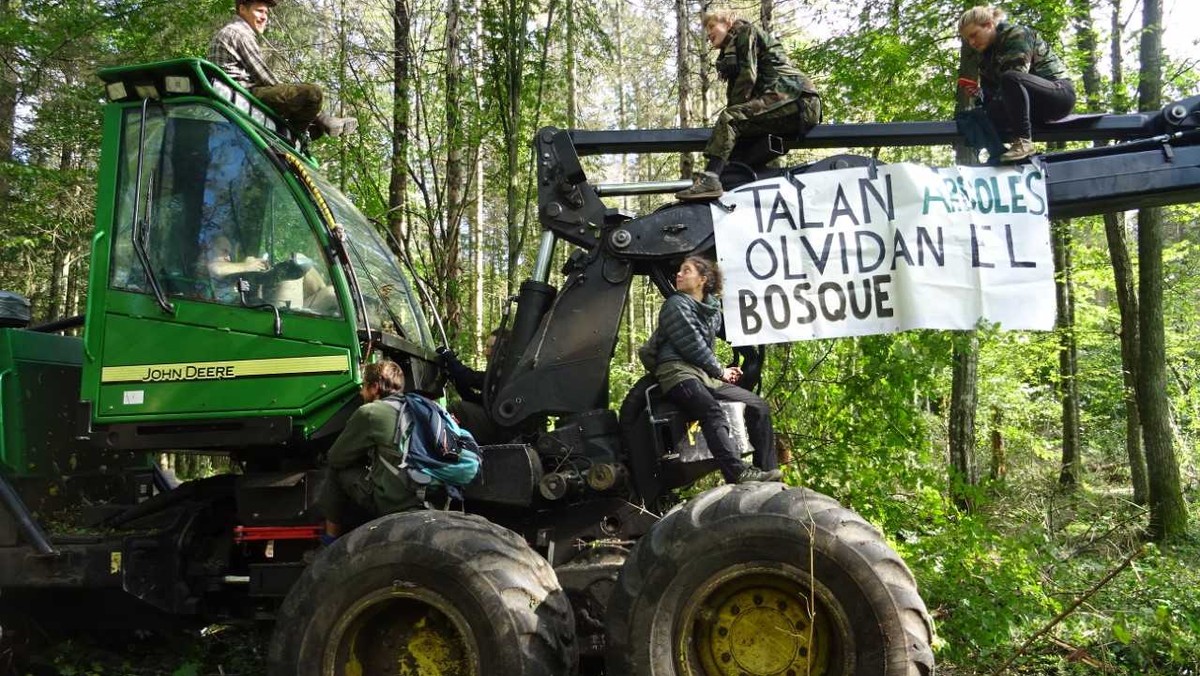 Aktywiści z Obozu dla Puszczy ponownie zablokowali dwie maszyny pracujące przy wycince w Puszczy Białowieskiej. Straż Leśna użyła siły. Jedna osoba została zatrzymana. Strażnik leśny jest oskarżany o molestowanie seksualne. Miał filmować lub fotografować jedną z protestujących podczas załatwiania potrzeby fizjologicznej.