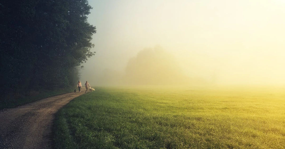 Uwaga na mgły i przymrozki! Prognoza pogody na piątek, 7 listopada 2025