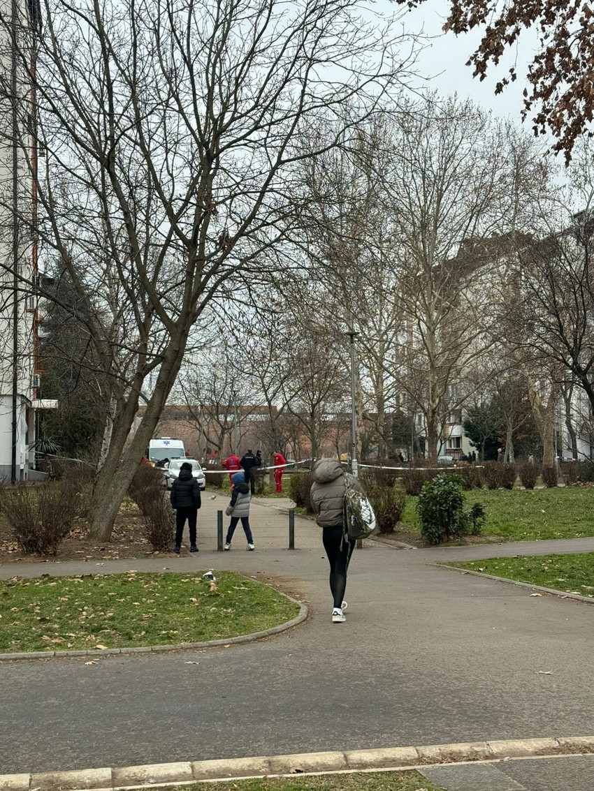 Mesto samoubistva i policijski uviđaj