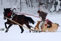 Parada Gazdowska w Białym Dunajcu