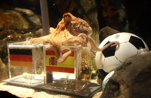 GERMANY - ANIMAL - FBL - WC2010 - GER - ESP - OCTOPUS - OFFBEAT