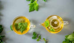 Czy herbata może wzmacniać kości? Nowe badania dają nadzieję starszym kobietom