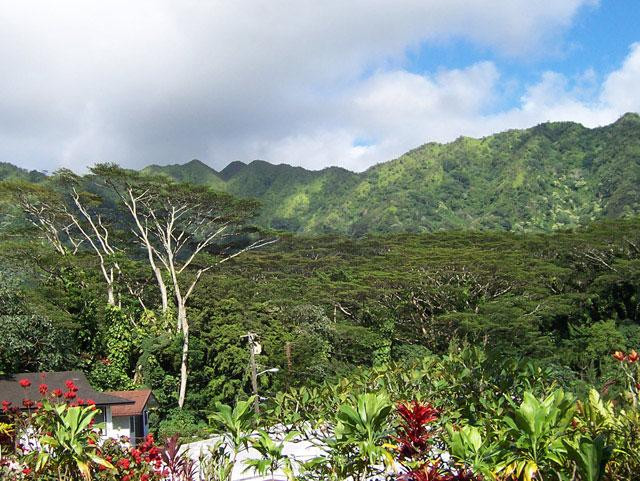 Galeria USA - Hawaje - Honolulu i wyspa Oahu, obrazek 22