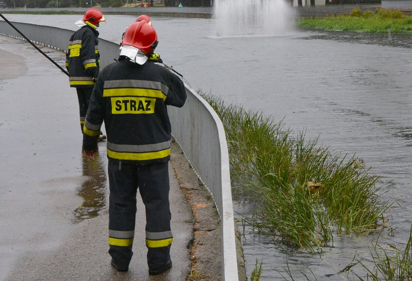 Strażacy ratują psa