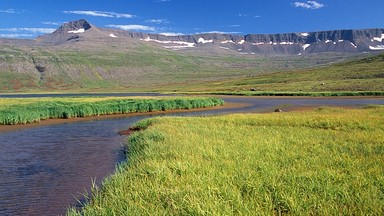 Islandia najpiękniejsza jest wiosną