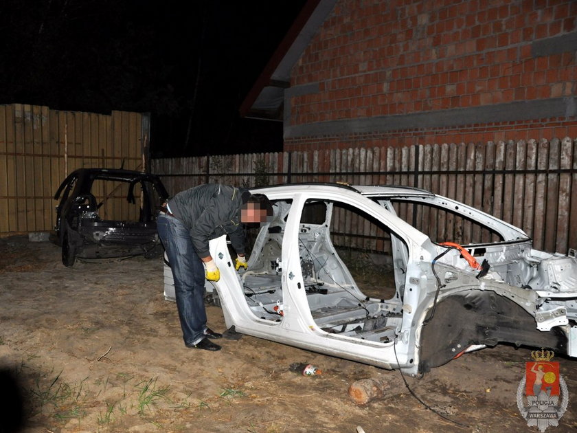 Policjanci rozbili dziuple złodziei samochodów 
