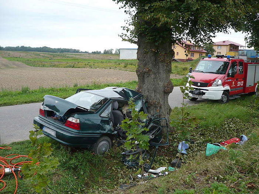 Bracia zginęli na tym samym drzewie