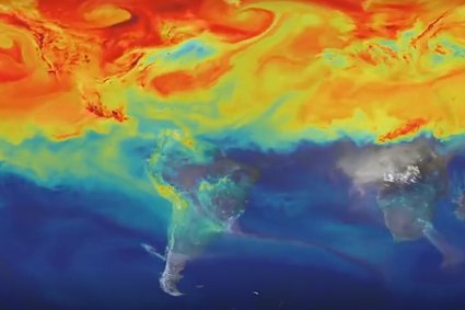 W atmosferze jest tyle CO2, że samo sadzenie drzew już nas nie uratuje