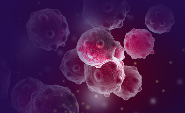 Komórki nowotworowe w komputerowej wizualizacji 3D