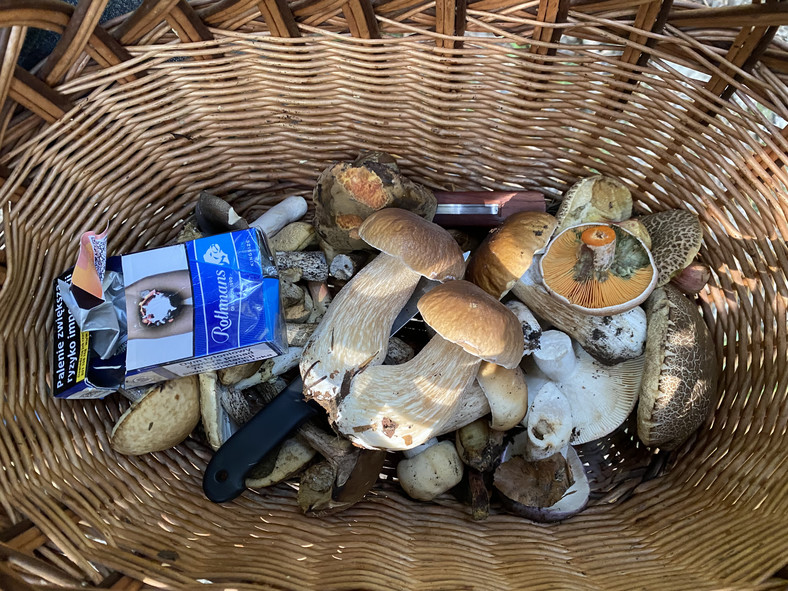W lasach oprócz grzybów warto zbierać... śmieci