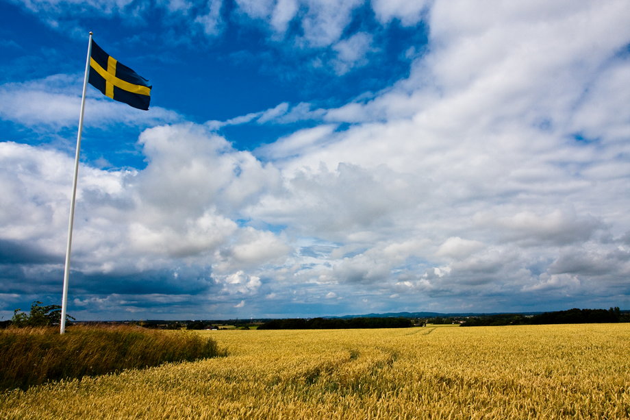8. Szwecja – Zaledwie jedno miejsce nad Danią. Szwecja jest na 3. miejscu w kategorii jakości gospodarcze i 5. miejsce w kategorii ładu korporacyjnego. Mimo to spadła z 5. miejsca, które zajmowała w 2015 roku.