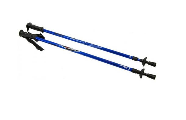 Kijki do nordic walking Enero Classic