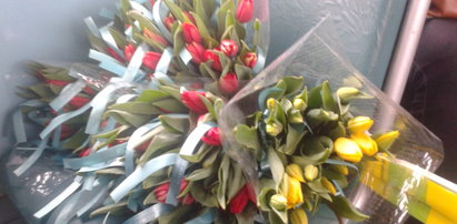 Osiemnastka pełna tulipanów
