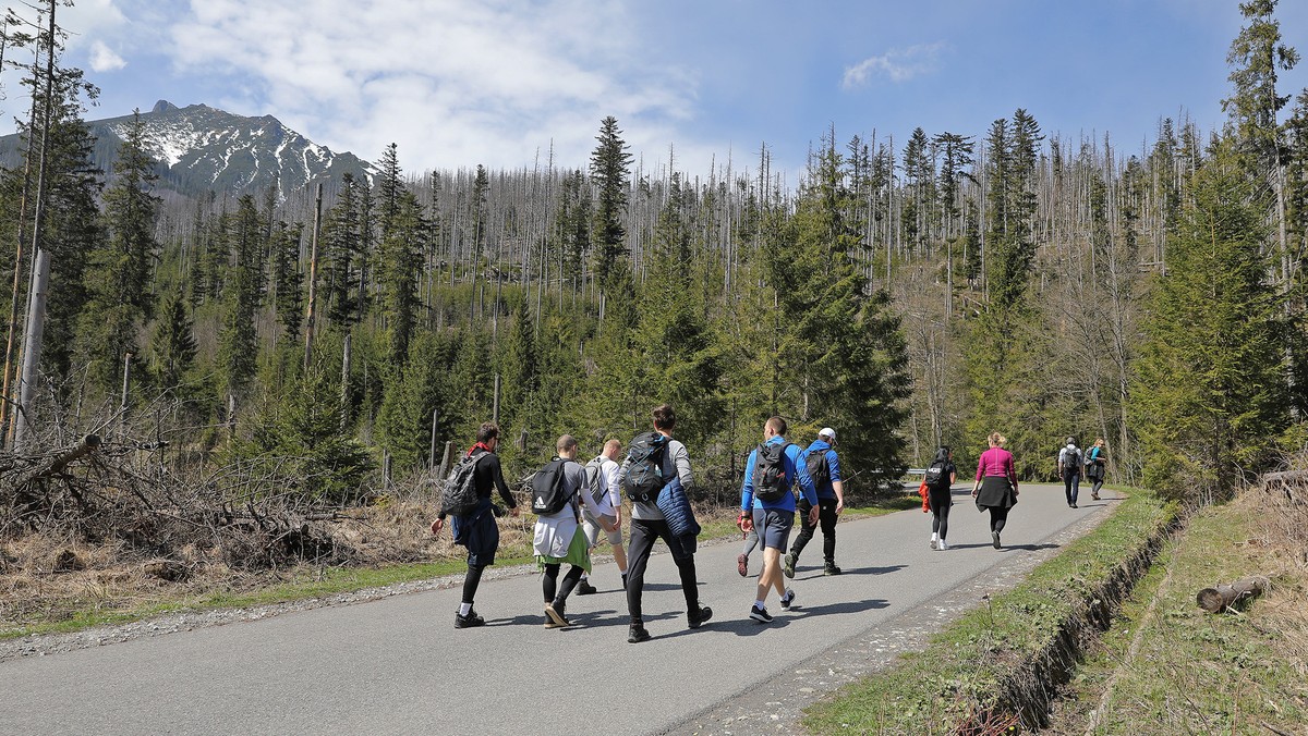 Morskie Oko. Quad wjechał na szlak. Młody kierowca otrzymał mandat