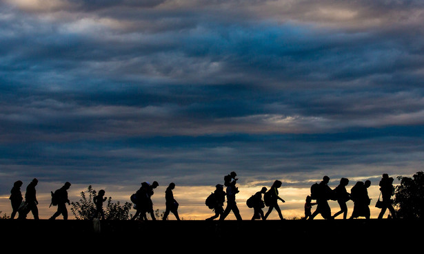 Pakt migracyjny. Ekspertka o wątpliwościach, języku strachu i niepokojach społecznych