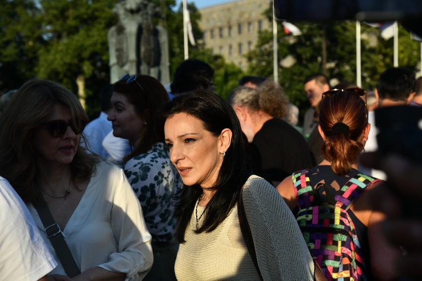 Marinika Tepić, SSP