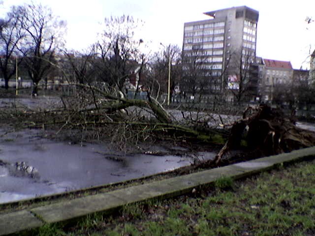 (tel. kom) Szczecin