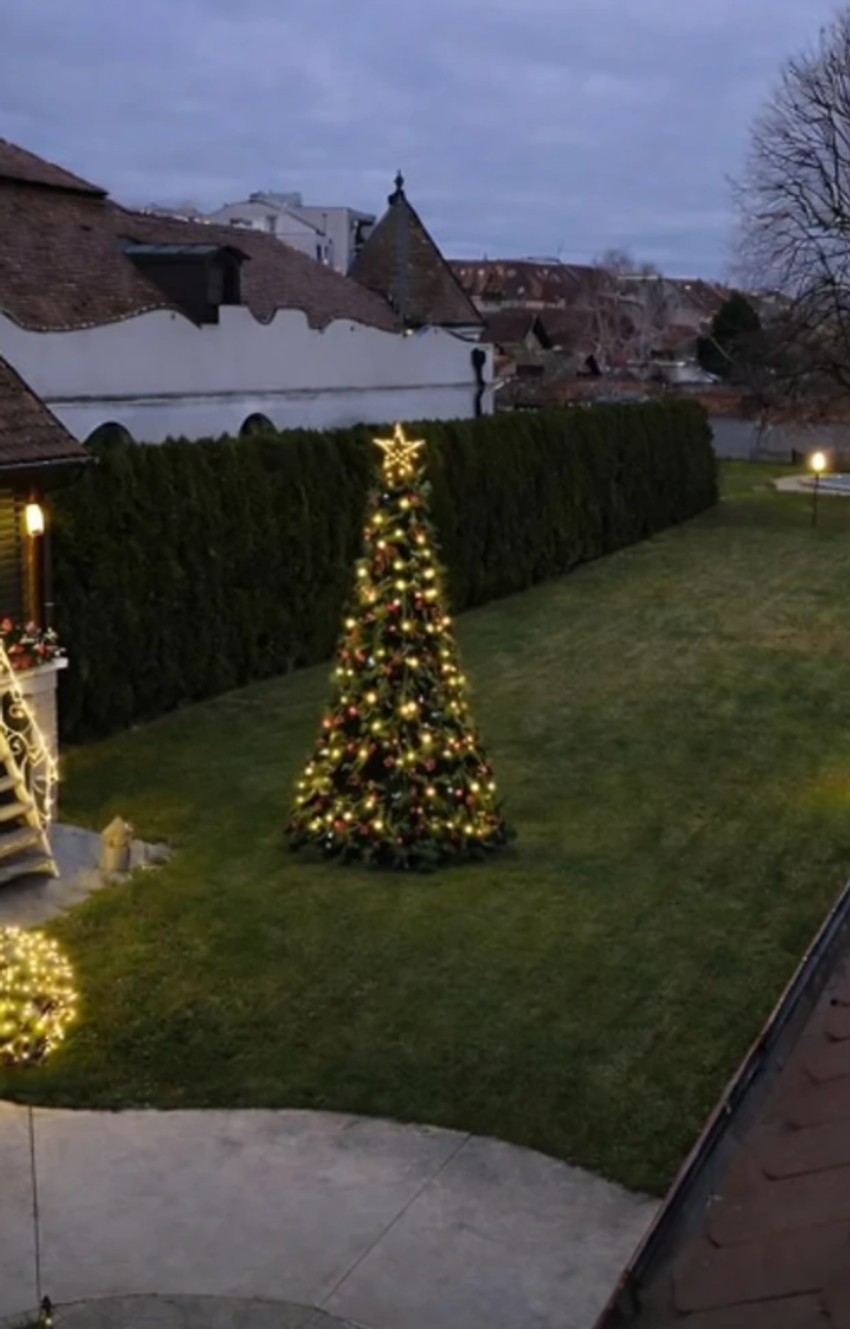 Dvorište koje je Aleksa pokazao na mrežama