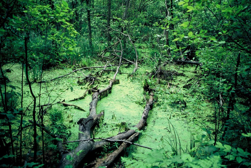 Mazowieckie - największe atrakcje