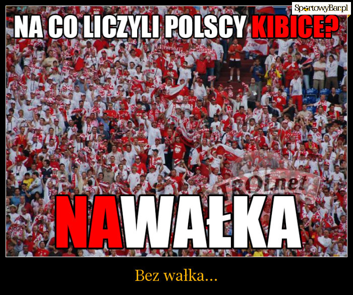 Memy po towarzyskim meczu Polska - Irlandia