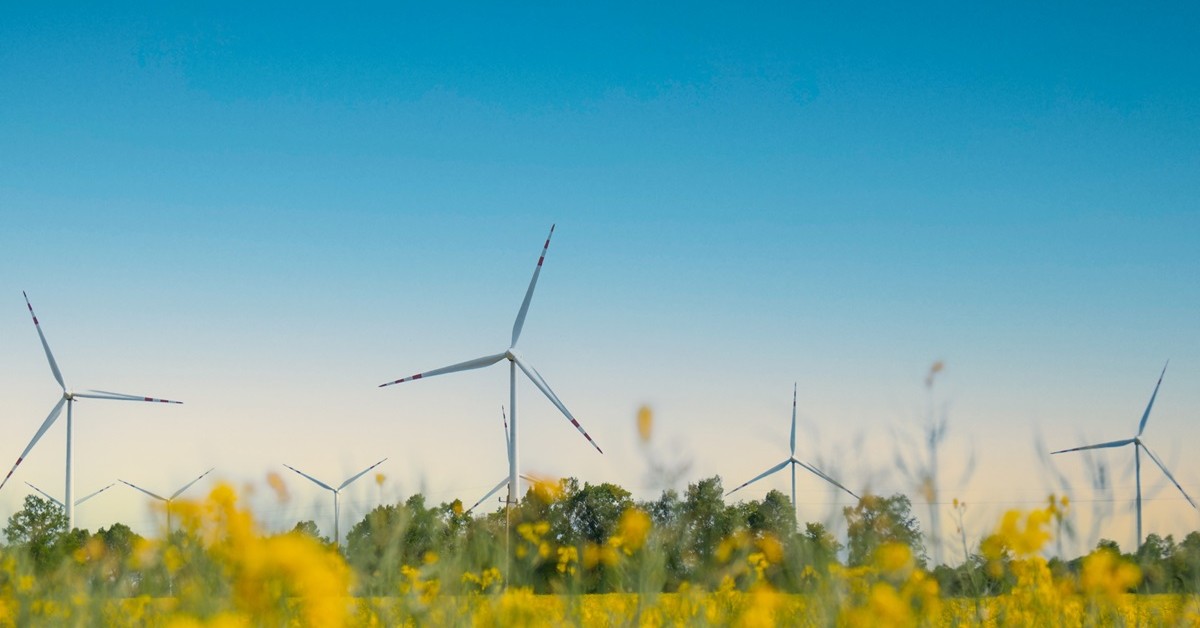 Nowy plan rządu na transformację energetyczną. Gdzie więcej OZE?