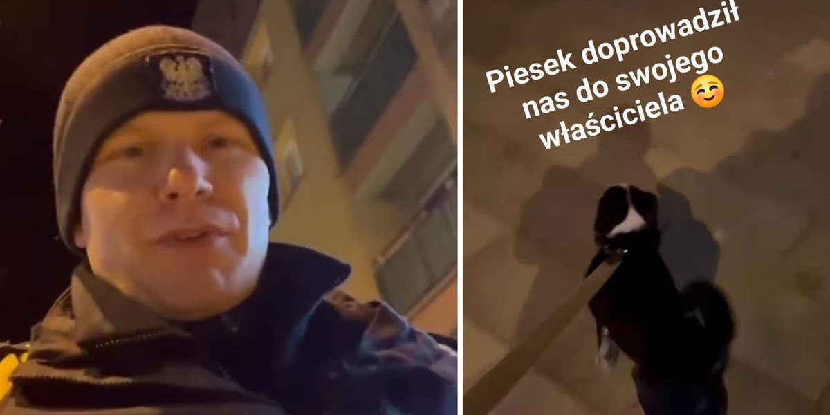 Piesek zaprowadzili policjantów do swojej właścicielki.