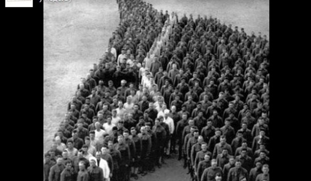 Konji, Odavanje počasti